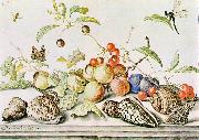 AST, Balthasar van der Still-life ggg oil painting